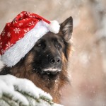 MikoĹaj Pako - fotografia