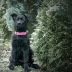 Zima, zima, zima - fotografia