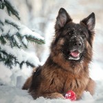 MikoĹaj Pako - fotografia