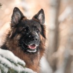 MikoĹaj Pako - fotografia